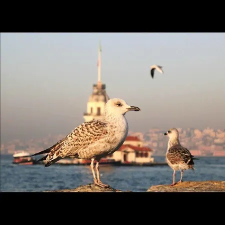 Luxury Grand Bazaar Guest house